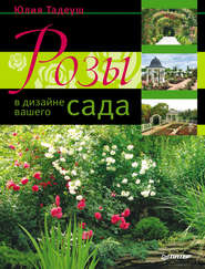 бесплатно читать книгу Розы в дизайне вашего сада автора Юлия Тадеуш