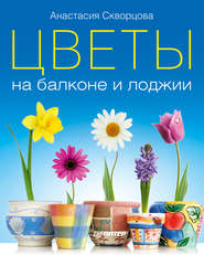 бесплатно читать книгу Цветы на балконе и лоджии автора Анастасия Скворцова