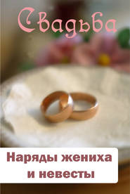 бесплатно читать книгу Наряды жениха и невесты автора Илья Мельников