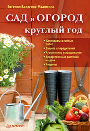 бесплатно читать книгу Сад и огород круглый год автора Евгения Валягина-Малютина