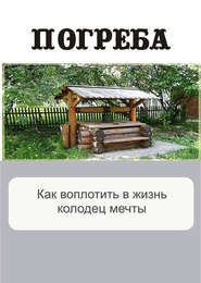 бесплатно читать книгу Как воплотить в жизнь колодец мечты автора Илья Мельников