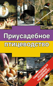 бесплатно читать книгу Приусадебное птицеводство автора Эдуард Бондарев