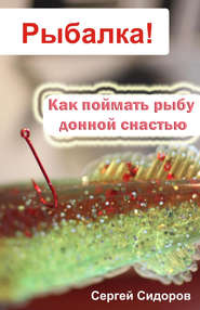 бесплатно читать книгу Как поймать рыбу донной снастью автора Сергей Сидоров