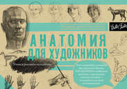 бесплатно читать книгу Анатомия для художников. Альбом для скетчинга автора  Коллектив авторов