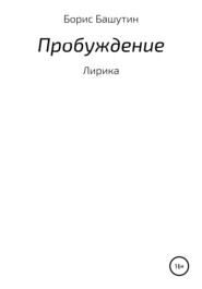 бесплатно читать книгу Пробуждение автора Борис Башутин