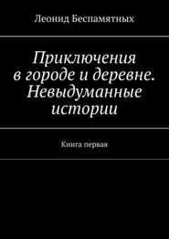 бесплатно читать книгу Приключения в городе и деревне. Невыдуманные истории. Книга первая автора Леонид Беспамятных