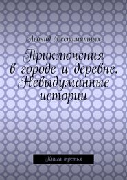 бесплатно читать книгу Приключения в городе и деревне. Невыдуманные истории. Книга третья автора Леонид Беспамятных