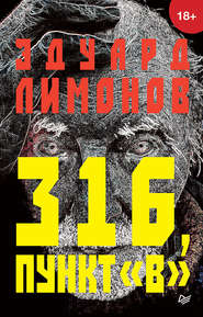 бесплатно читать книгу 316, пункт «В» автора Эдуард Лимонов