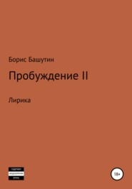 бесплатно читать книгу Пробуждение 2 автора Борис Башутин