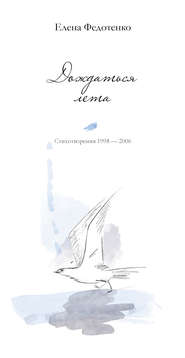 бесплатно читать книгу Дождаться лета. Стихотворения 1998–2006 автора Елена Федотенко