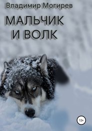бесплатно читать книгу Мальчик и Волк автора Владимир Могирев