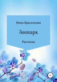 бесплатно читать книгу Зоопарк. Сборник рассказов автора Нина Брызгалова