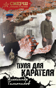 бесплатно читать книгу Пуля для карателя автора Александр Тамоников