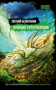 бесплатно читать книгу Принцип суперпозиции автора Евгений Белоглазов