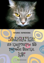 бесплатно читать книгу Боливаркин из квартиры 53 города Омска. Кот. Жизнеописание автора Татьяна Ларионова