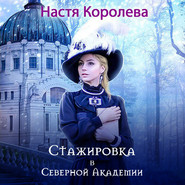 бесплатно читать книгу Стажировка в Северной Академии автора Анастасия Королёва