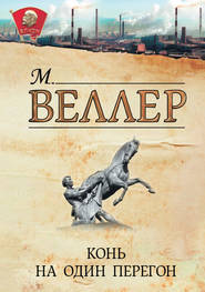бесплатно читать книгу Конь на один перегон (сборник) автора Михаил Веллер
