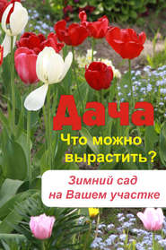 бесплатно читать книгу Что можно вырастить? Зимний сад на вашем участке автора Илья Мельников