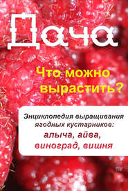 бесплатно читать книгу Что можно вырастить? Энциклопедия выращивания ягодных кустарников: алыча, айва, виноград, вишня автора Илья Мельников