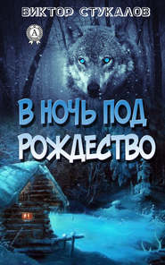 бесплатно читать книгу В ночь под Рождество автора Виктор Стукалов