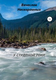 бесплатно читать книгу У студёной реки автора Вячеслав Нескоромных
