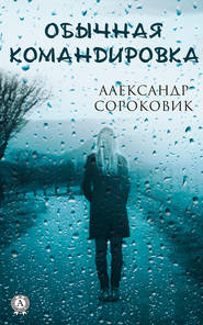 бесплатно читать книгу Обычная командировка автора Александр Сороковик