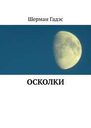 бесплатно читать книгу Осколки автора Шерман Гадэс