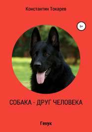 бесплатно читать книгу Собака – друг человека автора Константин Токарев