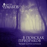 бесплатно читать книгу В поисках призраков автора Алексей Чумаков
