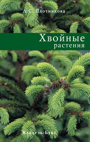 бесплатно читать книгу Хвойные растения автора Лилиан Плотникова