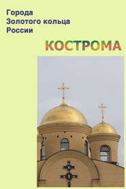 бесплатно читать книгу Кострома автора Илья Мельников