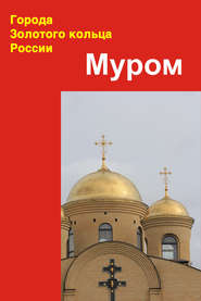 бесплатно читать книгу Муром автора Илья Мельников