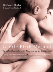 бесплатно читать книгу The Gentle Birth Method: The Month-by-Month Jeyarani Way Programme автора Karen MacLeod