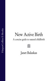 бесплатно читать книгу New Active Birth: A Concise Guide to Natural Childbirth автора Janet Balaskas