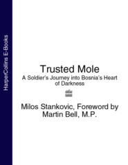 бесплатно читать книгу Trusted Mole: A Soldier’s Journey into Bosnia’s Heart of Darkness автора Martin Bell