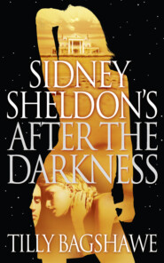 бесплатно читать книгу Sidney Sheldon’s After the Darkness автора Сидни Шелдон