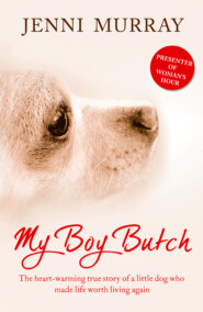 бесплатно читать книгу My Boy Butch: The heart-warming true story of a little dog who made life worth living again автора Jenni Murray