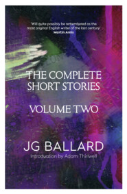 бесплатно читать книгу The Complete Short Stories: Volume 2 автора Adam Thirlwell