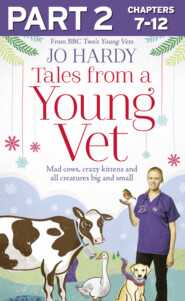 бесплатно читать книгу Tales from a Young Vet: Part 2 of 3: Mad cows, crazy kittens, and all creatures big and small автора Jo Hardy