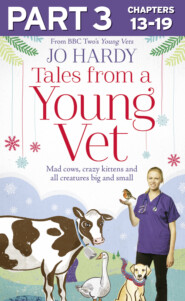 бесплатно читать книгу Tales from a Young Vet: Part 3 of 3: Mad cows, crazy kittens, and all creatures big and small автора Jo Hardy