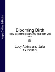 бесплатно читать книгу Blooming Birth: How to get the pregnancy and birth you want автора Lucy Atkins