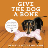 бесплатно читать книгу Give the Dog a Bone: Over 40 healthy home-cooked treats, meals and snacks for your four-legged friend автора Nicola Millbank