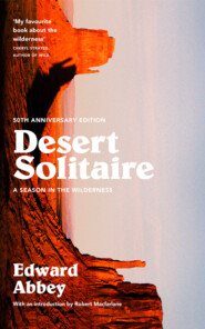 бесплатно читать книгу Desert Solitaire: A Season in the Wilderness автора Robert MacFarlane