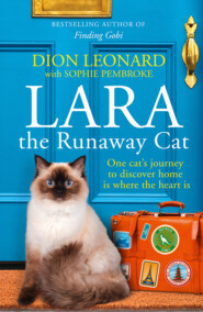 бесплатно читать книгу Lara The Runaway Cat: One cat’s journey to discover home is where the heart is автора Sophie Pembroke