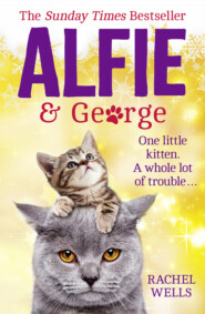 бесплатно читать книгу Alfie and George: A heart-warming tale about how one cat and his kitten brought a street together автора Rachel Wells