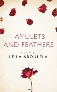 бесплатно читать книгу Amulets and Feathers: A Story from the collection, I Am Heathcliff автора Leila Aboulela
