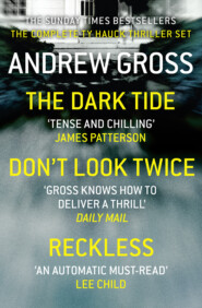 бесплатно читать книгу Andrew Gross 3-Book Thriller Collection 1: The Dark Tide, Don’t Look Twice, Relentless автора Andrew Gross