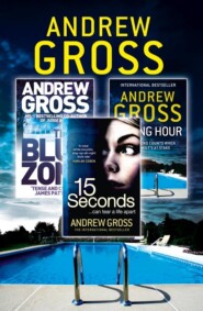 бесплатно читать книгу Andrew Gross 3-Book Thriller Collection 2: 15 Seconds, Killing Hour, The Blue Zone автора Andrew Gross