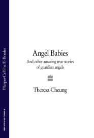 бесплатно читать книгу Angel Babies: And Other Amazing True Stories of Guardian Angels автора Theresa Cheung
