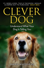 бесплатно читать книгу Clever Dog: Understand What Your Dog is Telling You автора Sarah Whitehead